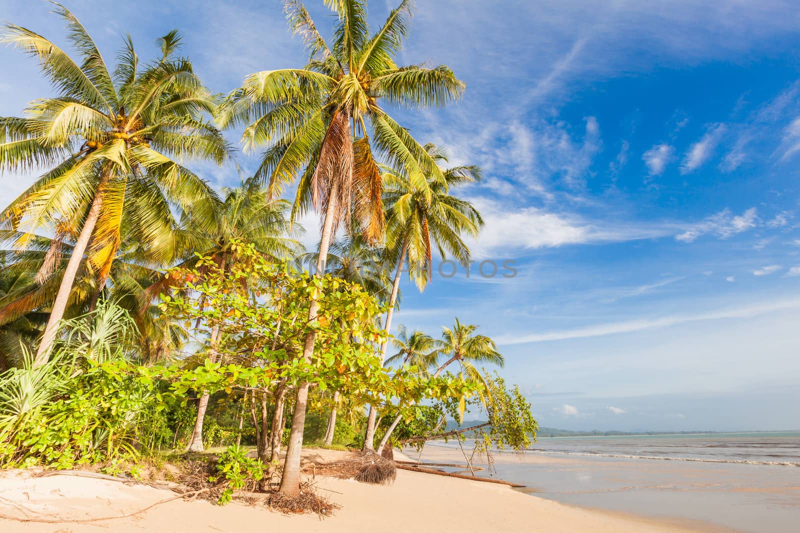 Bangsak beach in blue sky and palm trees by jame_j@homail.com
