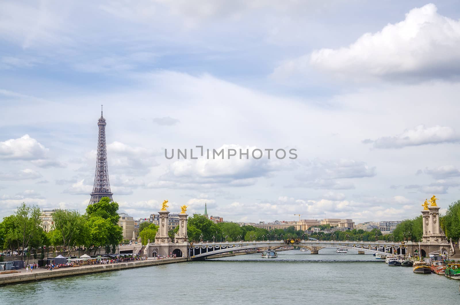 Seine in Paris with Eiffel tower. France.
