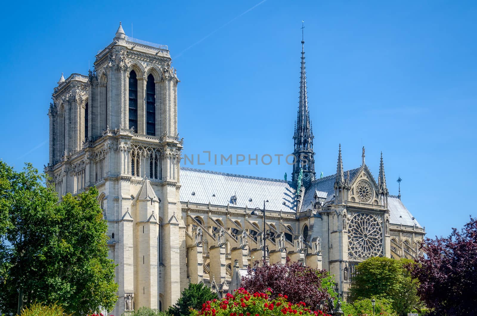 Notre Dame of Paris. France.