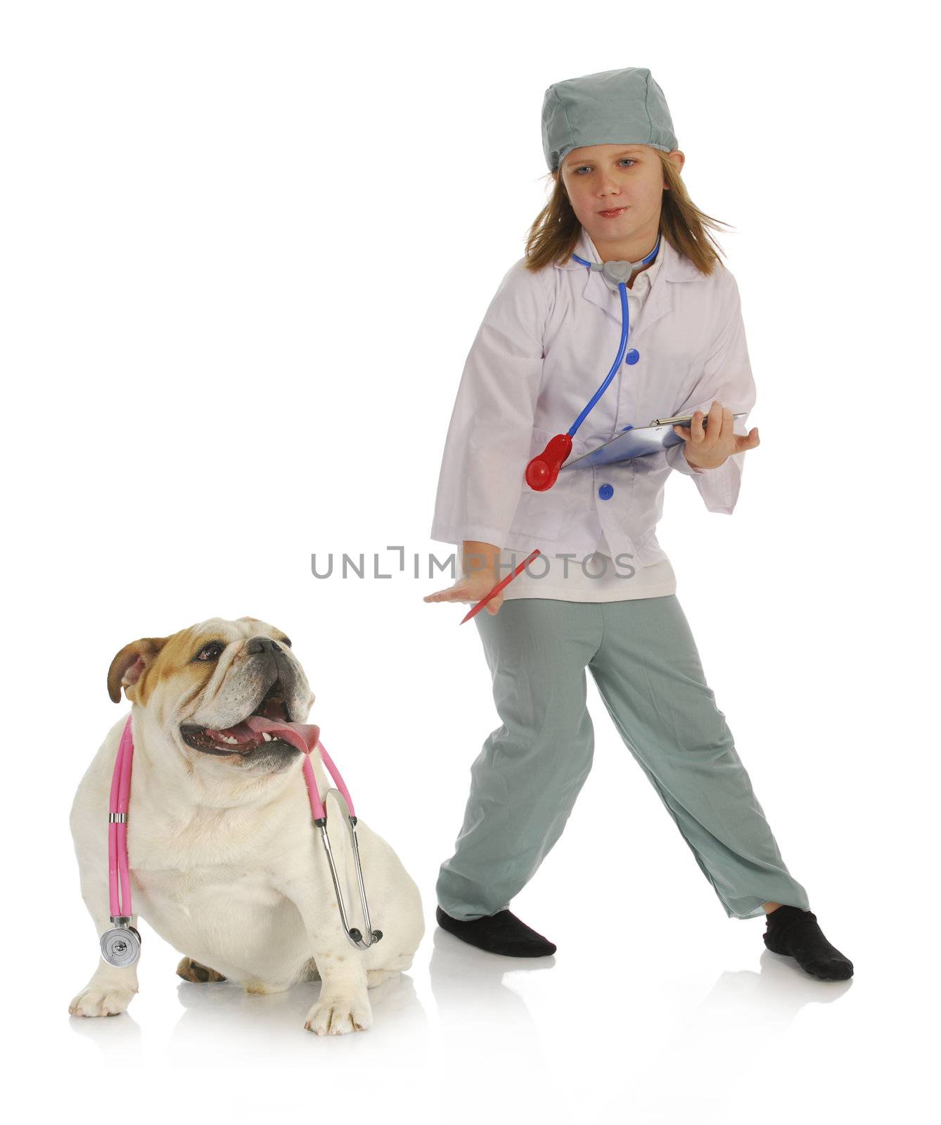 veterinary care - english bulldog and child playing doctor 