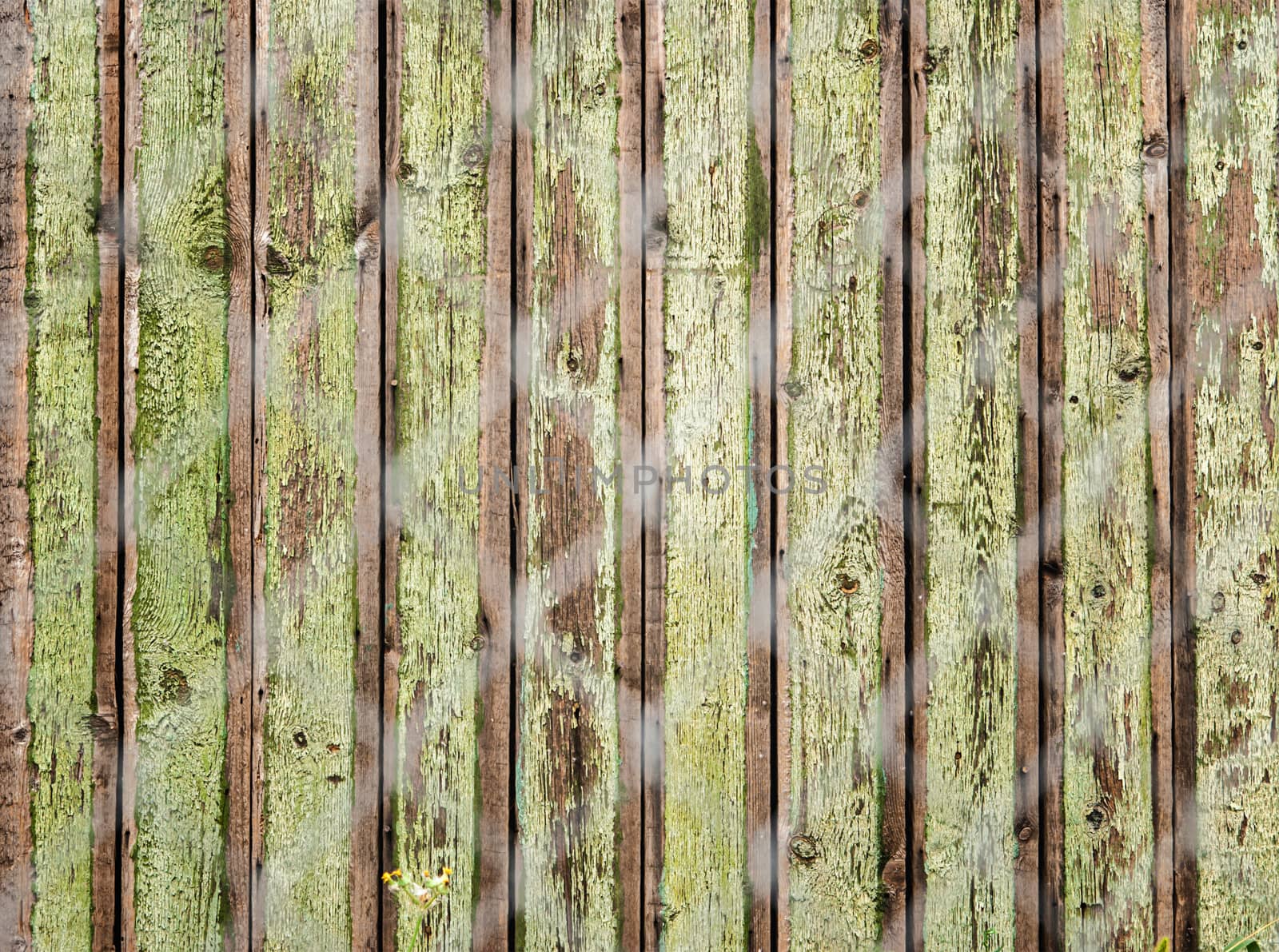 old wooden fence photographed over the net