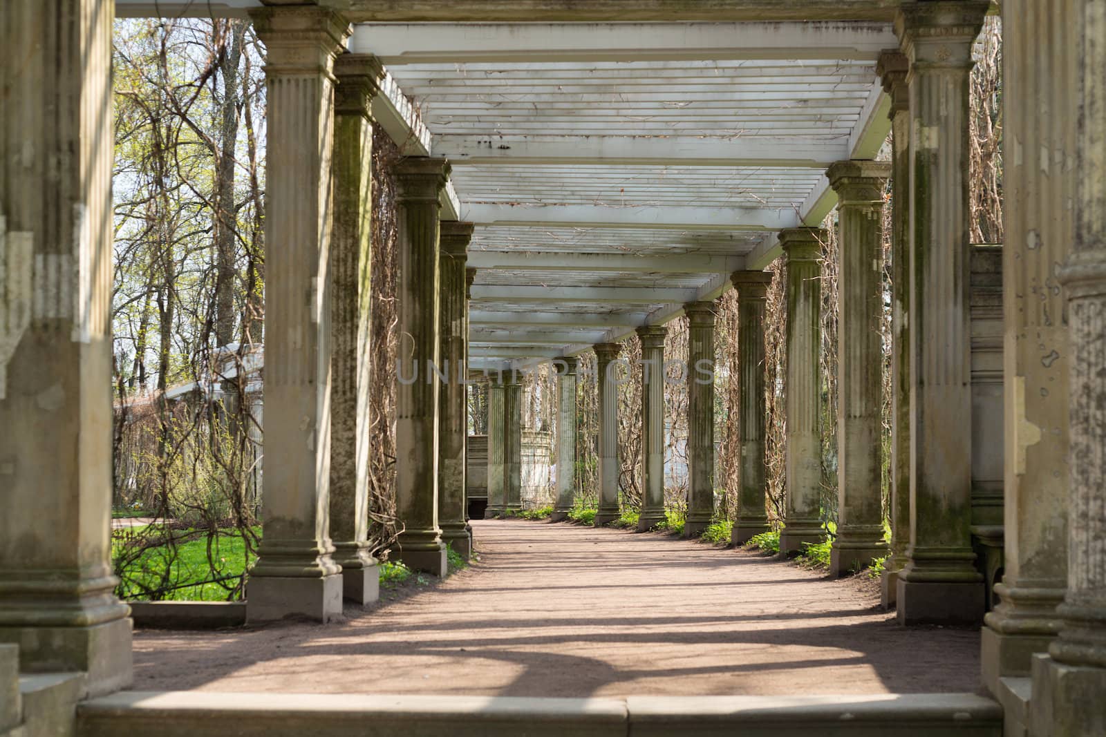 Ancient columns corridor in spring grass. St. Petersburg, Russia, Catherine Park