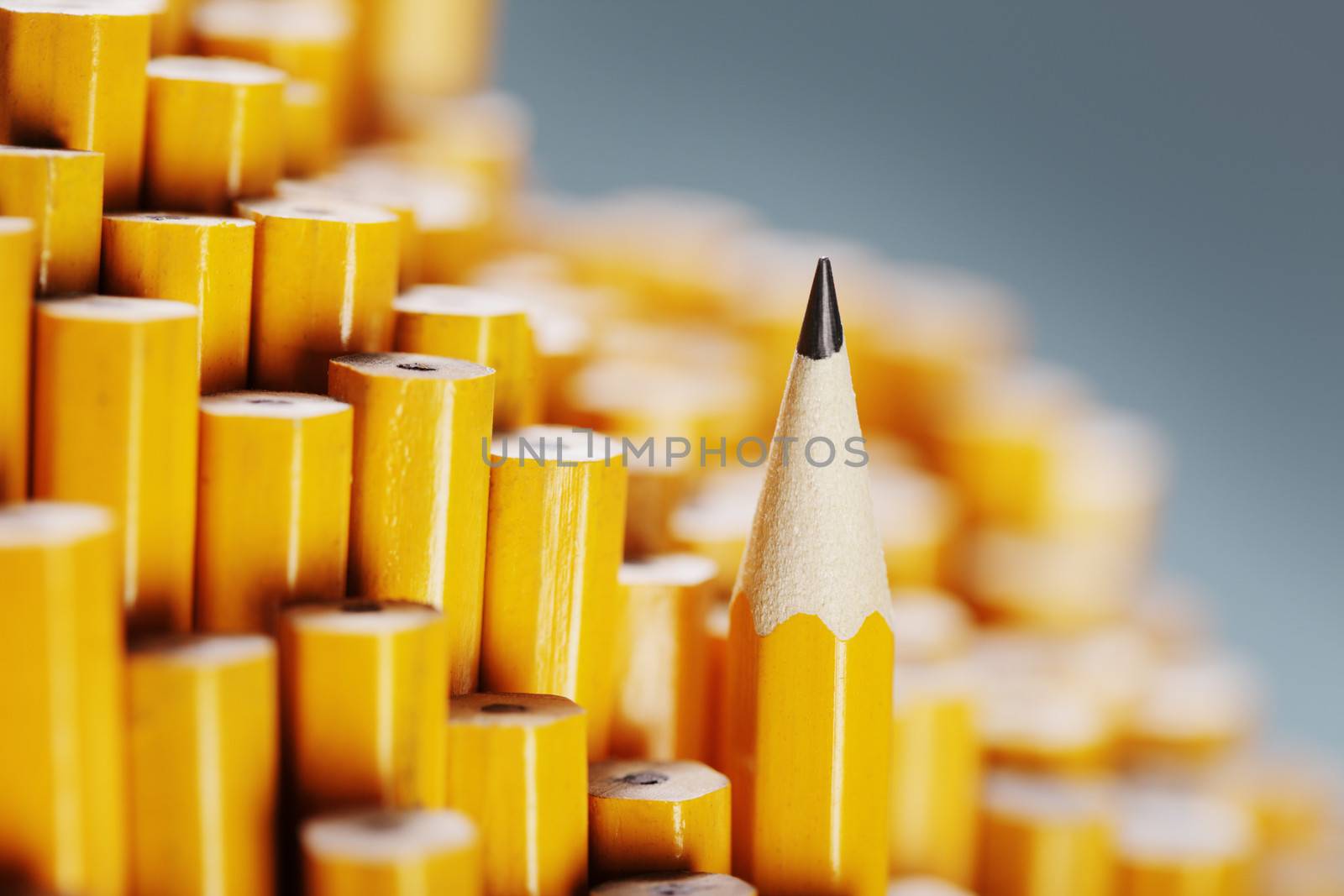 Sharp Pencil by Stocksnapper