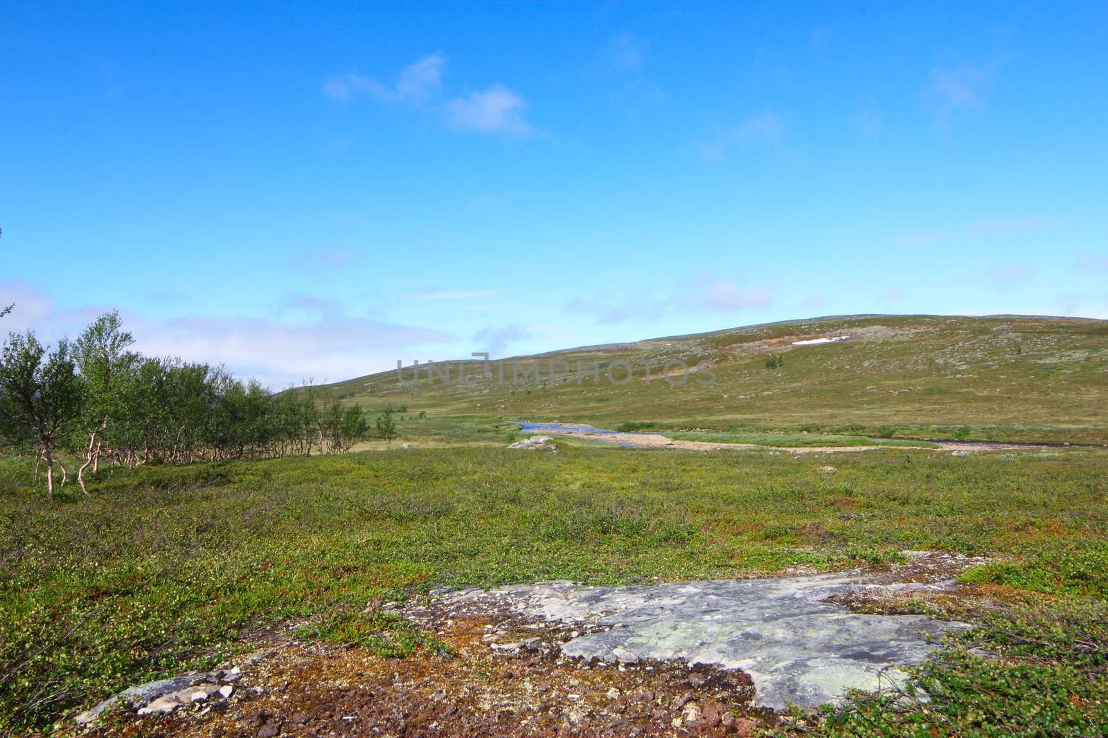 Tundra Landscape by destillat