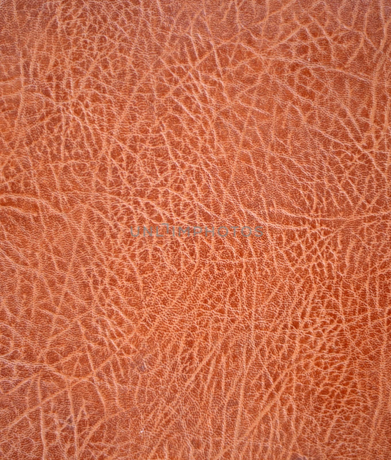 leather texture or background by MalyDesigner
