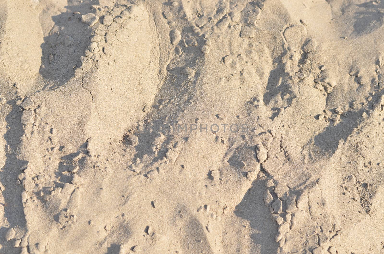 Sand texture on the beach