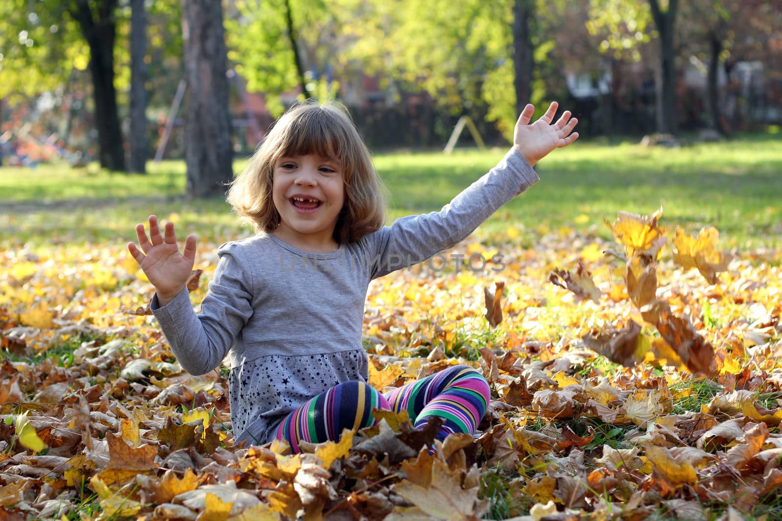 happy little girl in autumn park by goce