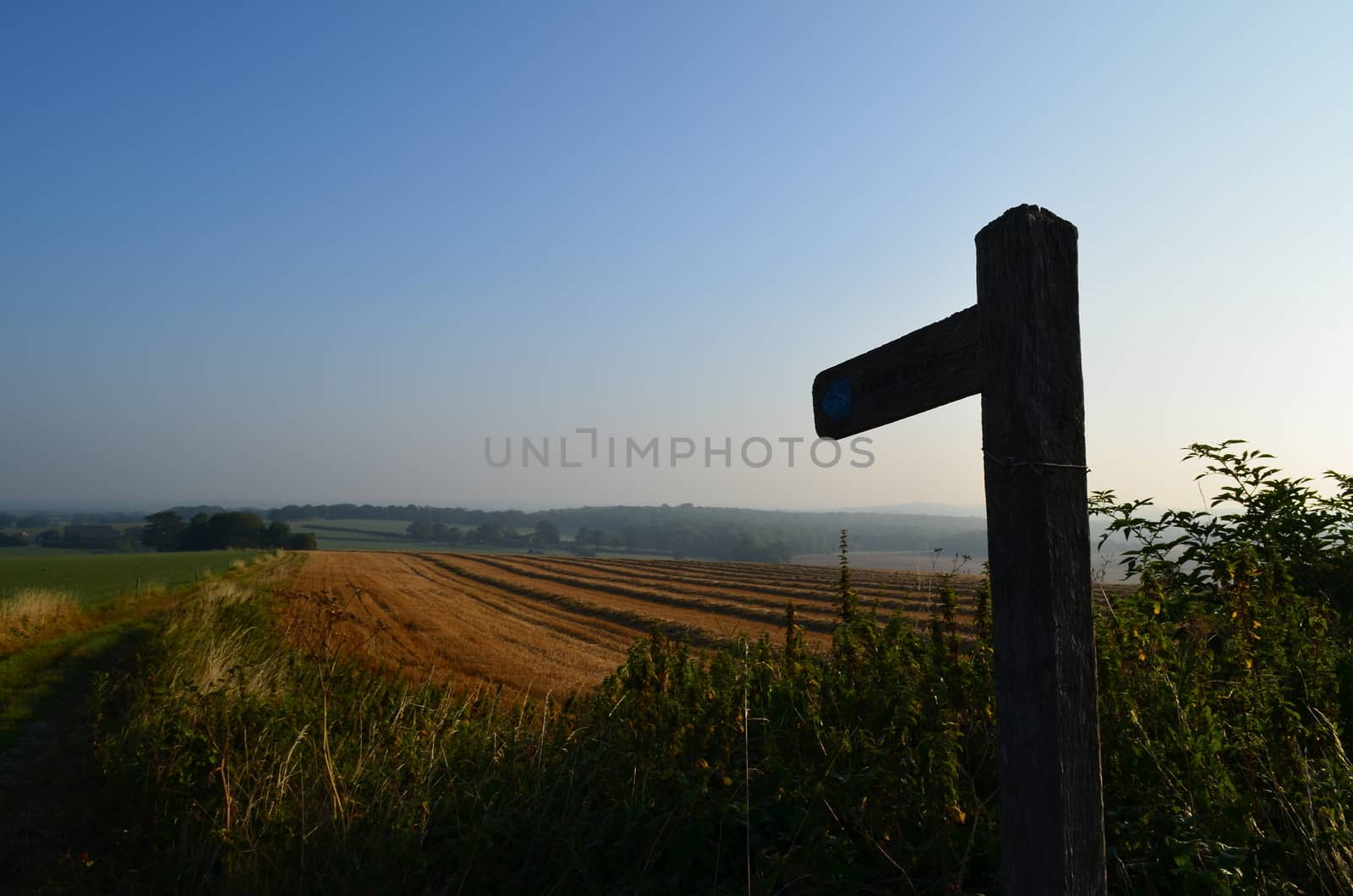 Countryside signpost by bunsview