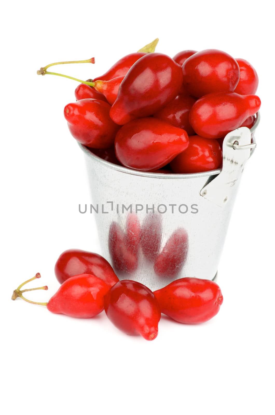 Heap of Raw Ripe Cornel Cornelian in Tin Bucket isolated on white background