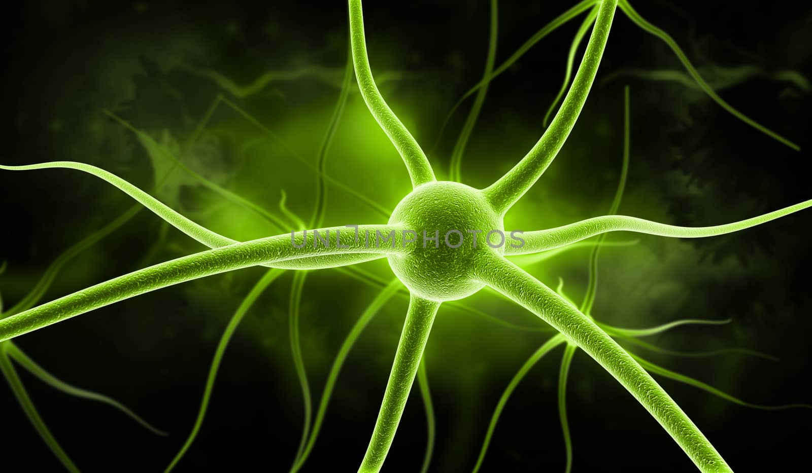 digital illustration of a neuron in colour background