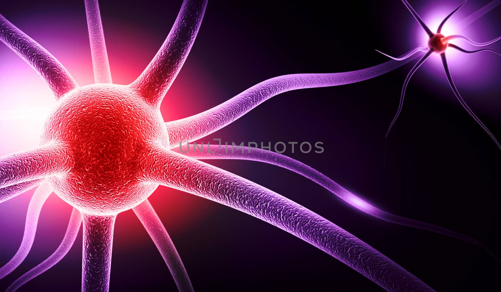 digital illustration of a neuron in colour background