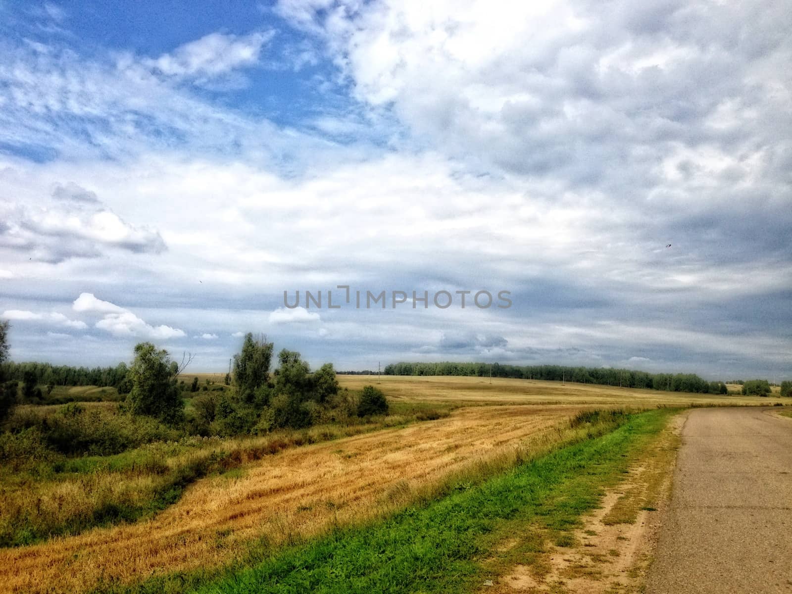 Autumn Landscape with a view of the field