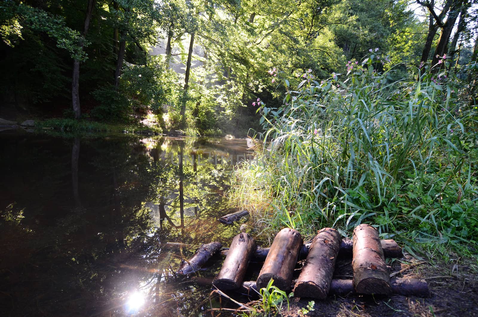 river in the morning