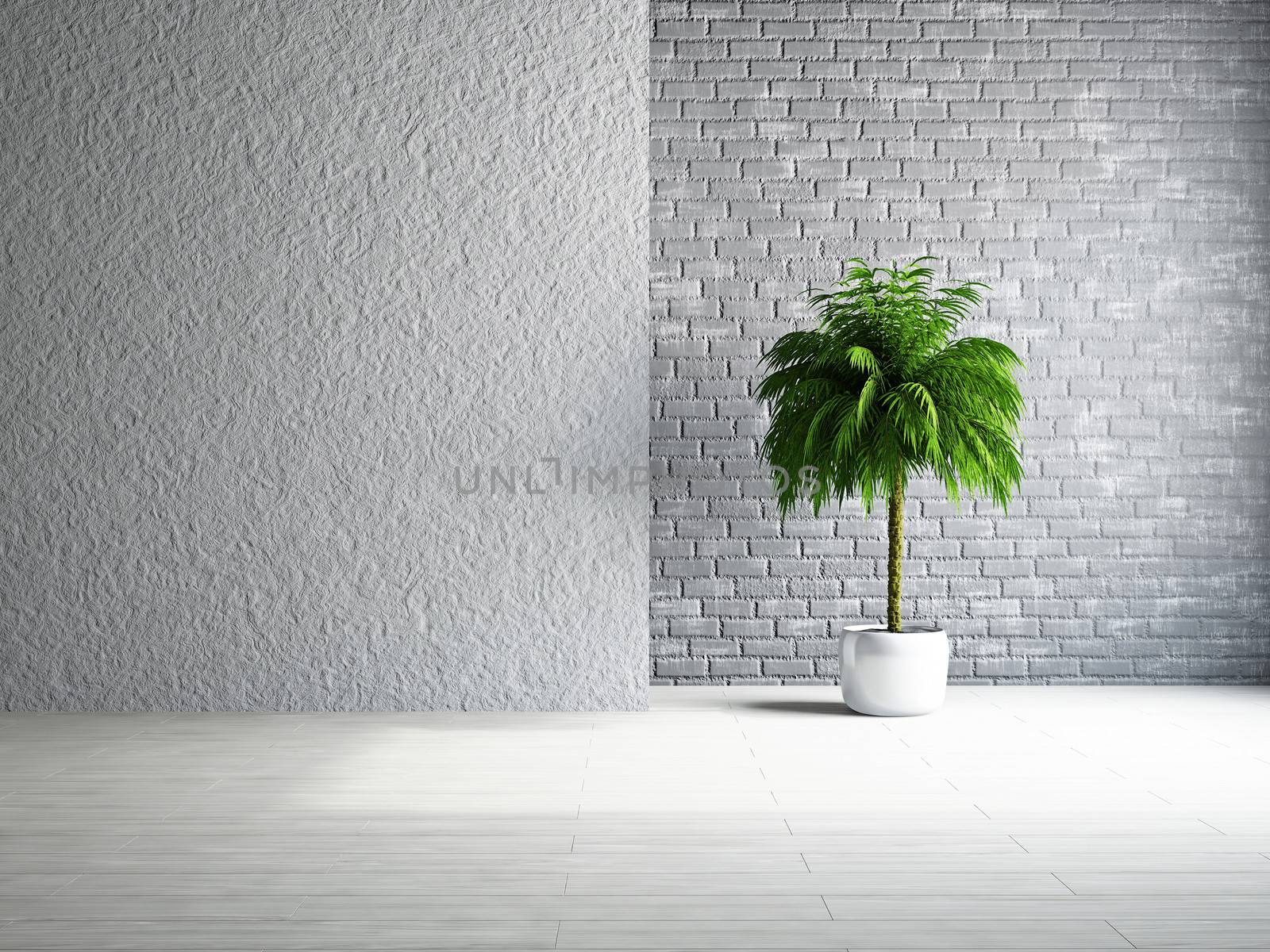 The empty room with plant near the wall