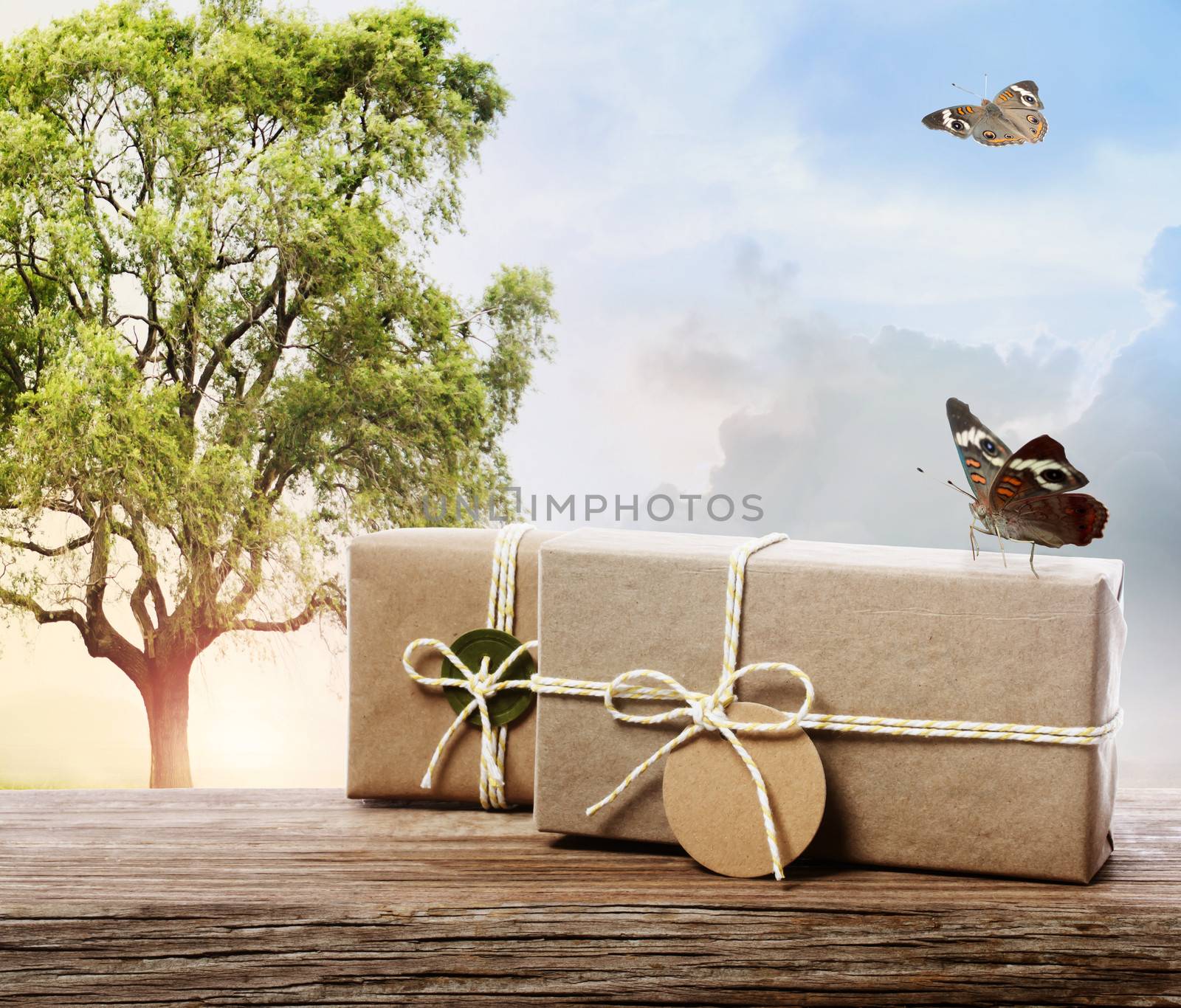 Handmade gift boxes on a fantasy landscape with butterflies