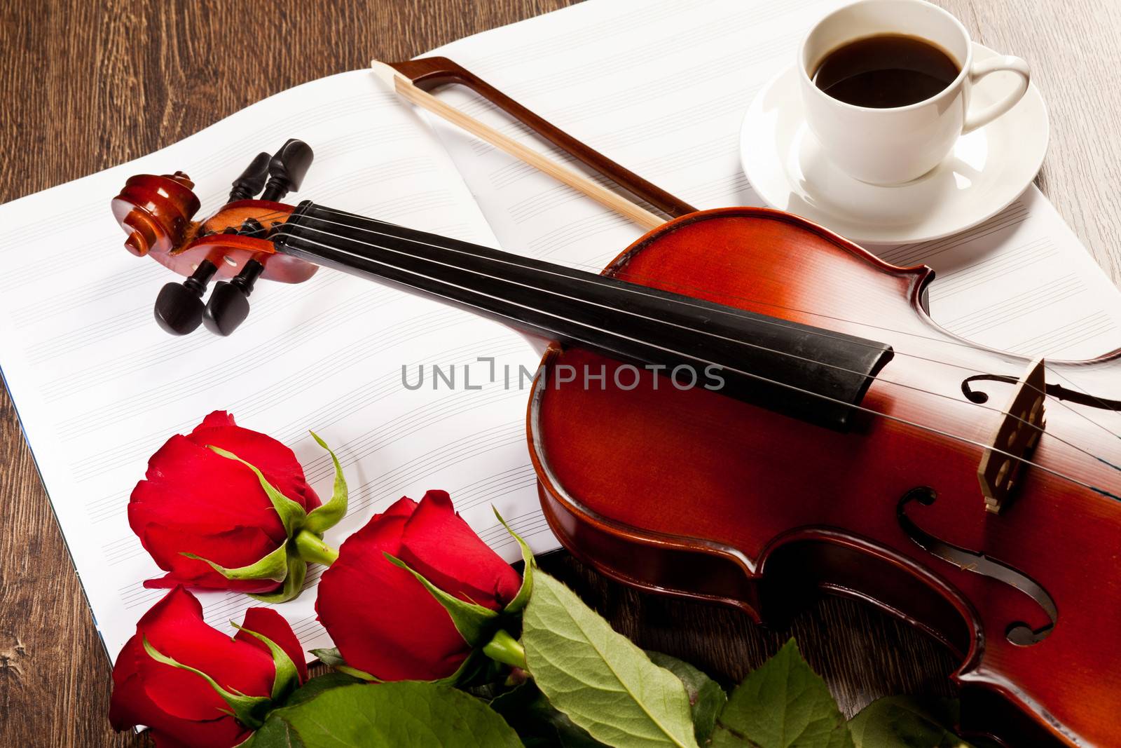 Red roses and a violin on the table