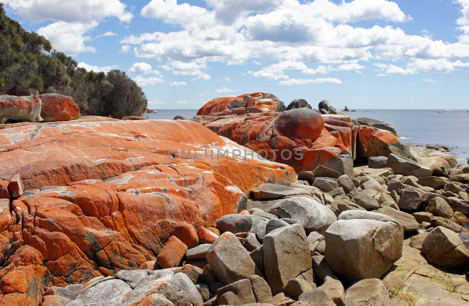 Bay of Fires, one of the most beautiful beaches of the world. Tasmania, Australia