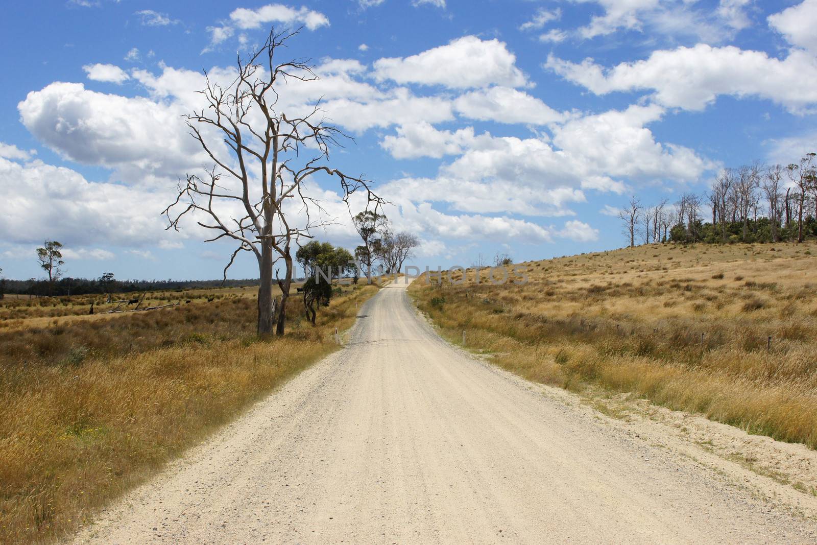 Typical dirt road in the north of Tasmania, Australia