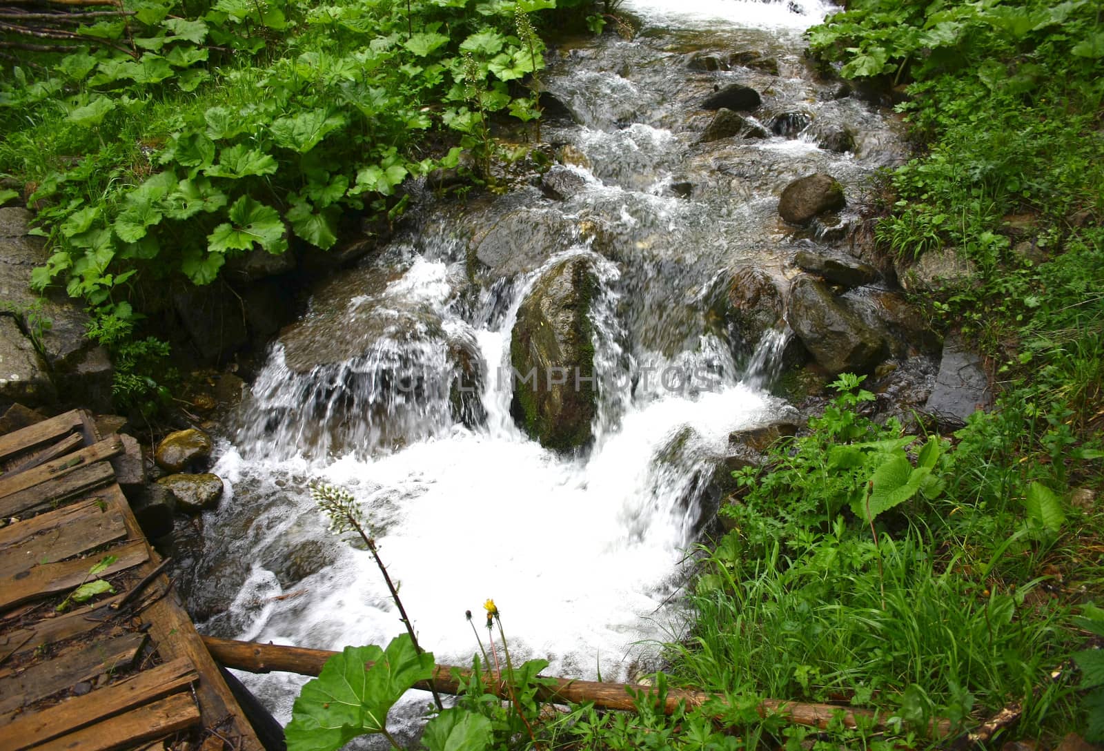 mountain creek up in mountain Rodopi