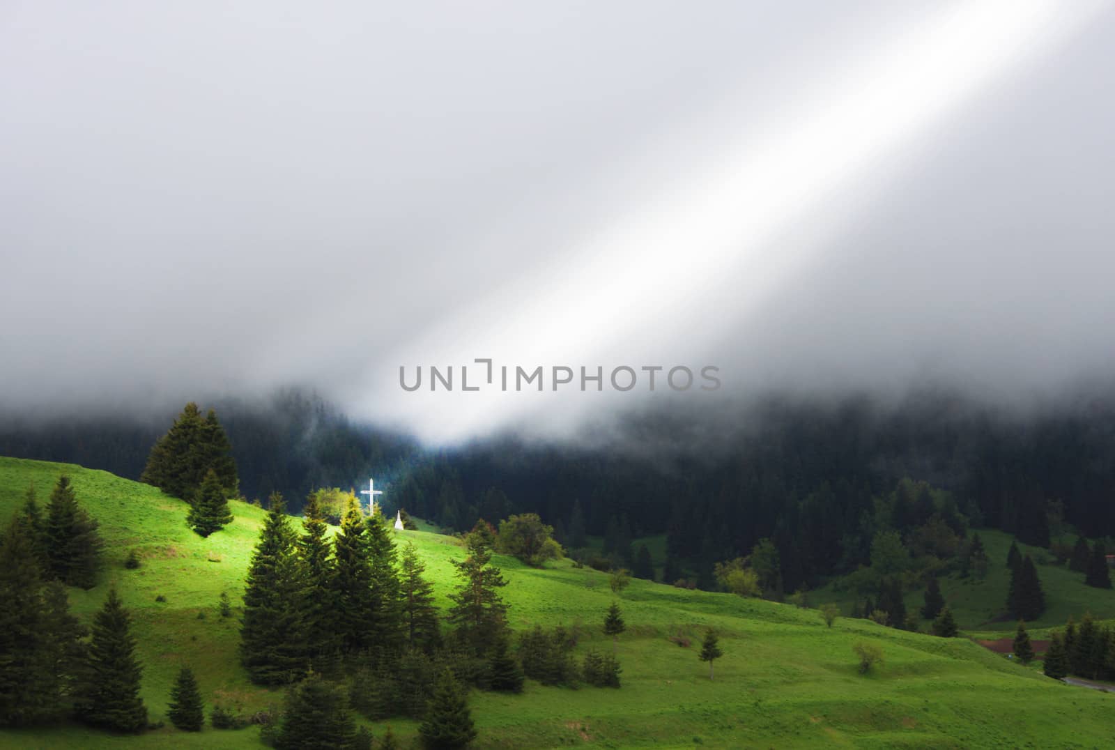 ray of light by ivto