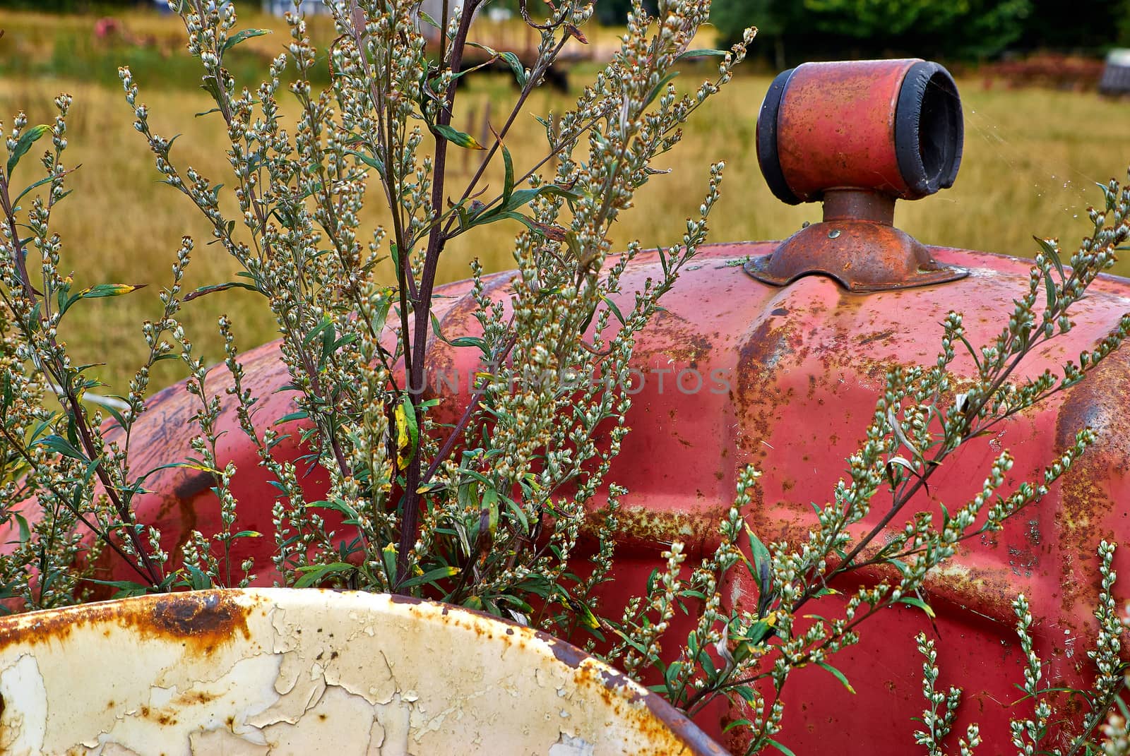 Close details of an old abandoned rusty tractor in a farm