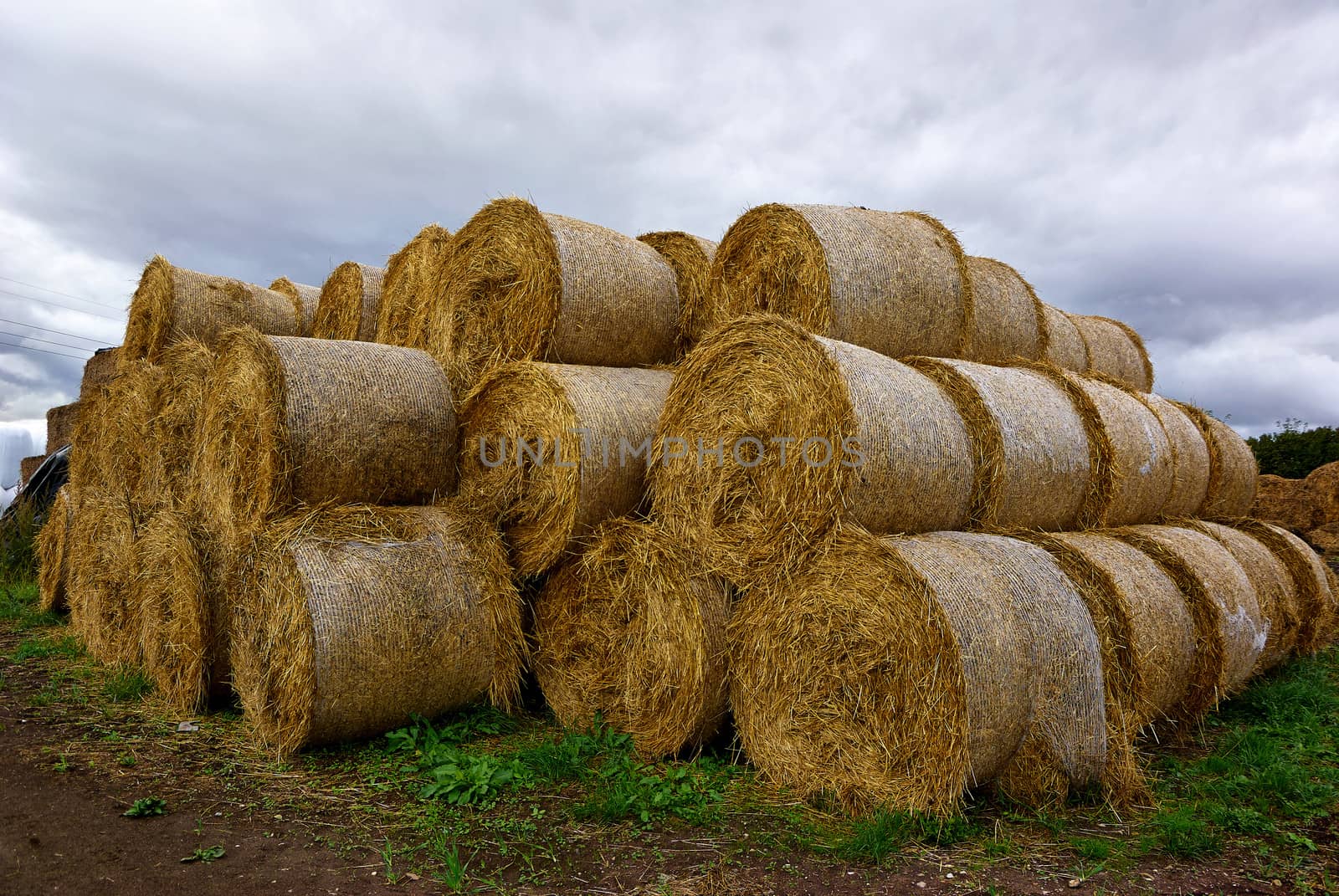 Stack of hay straw roll bales in the field after a summer harvest
