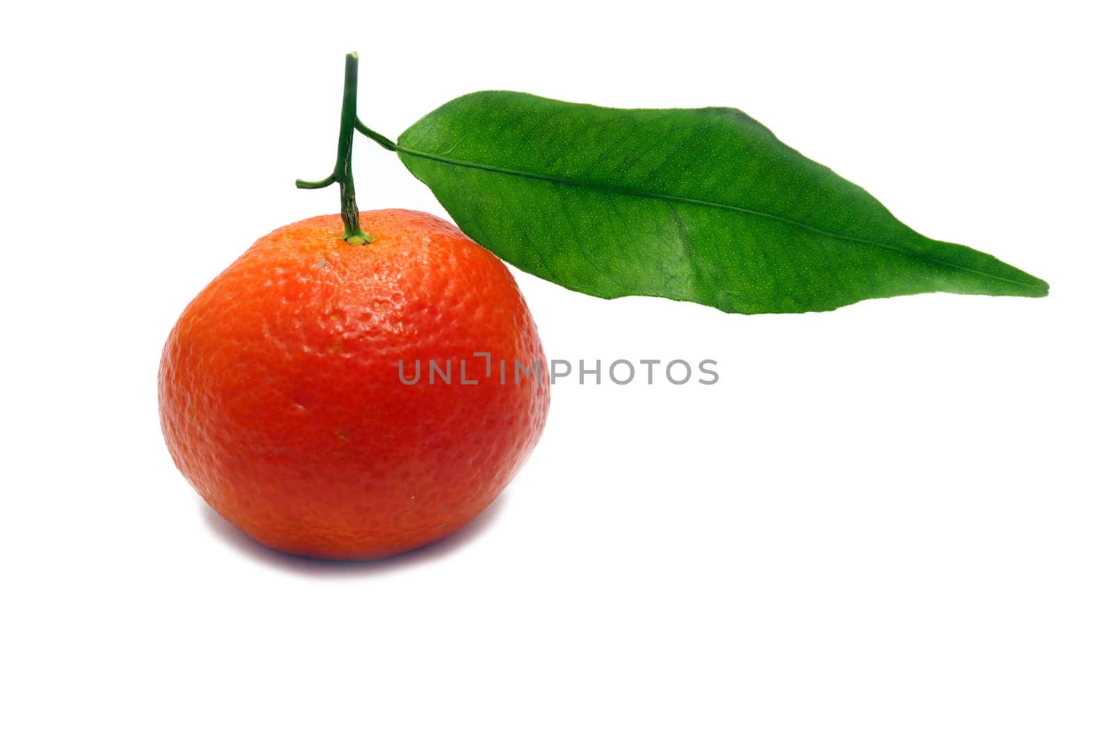 A fresh clementine isolated on a white background