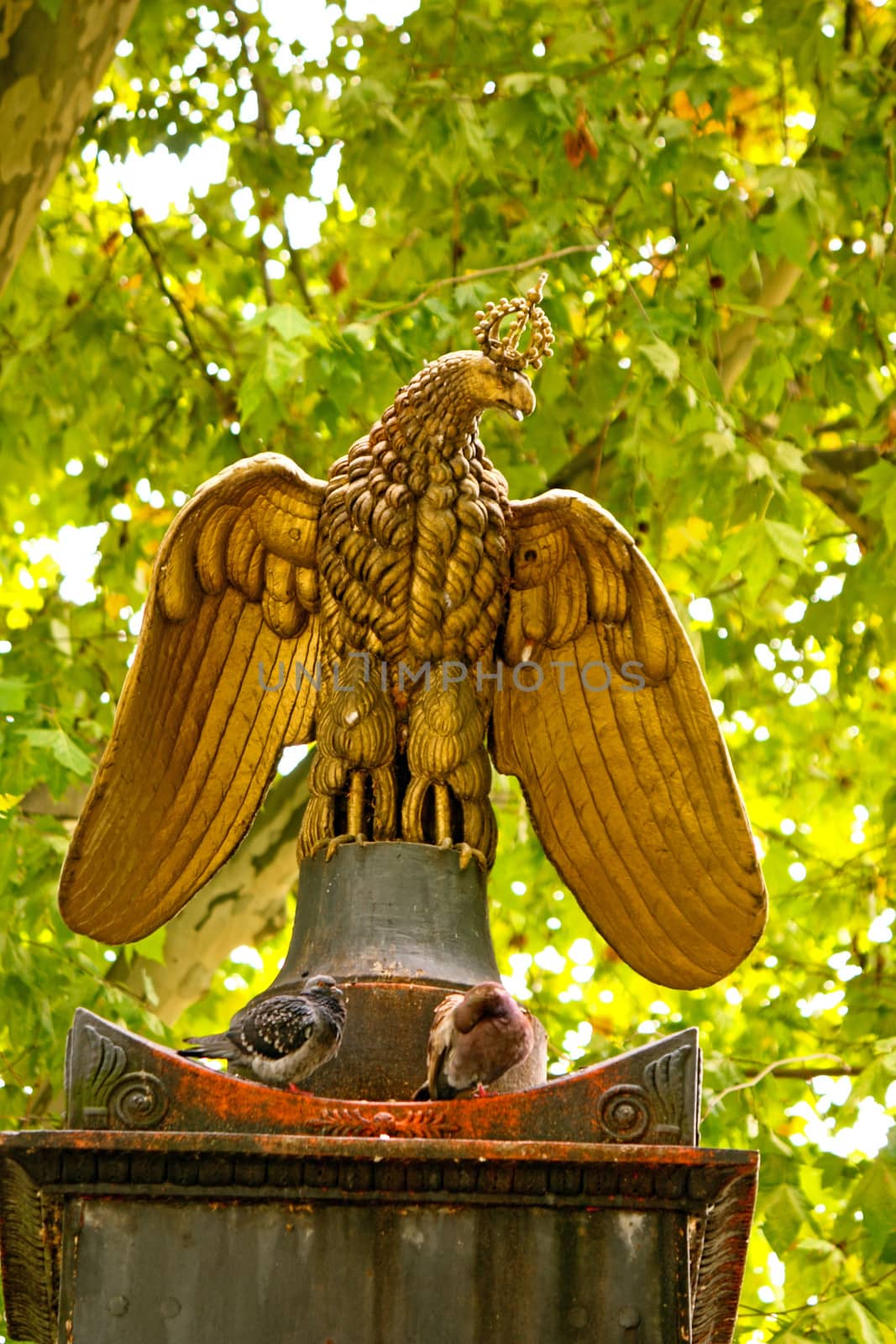 German eagle, sculpture in the park