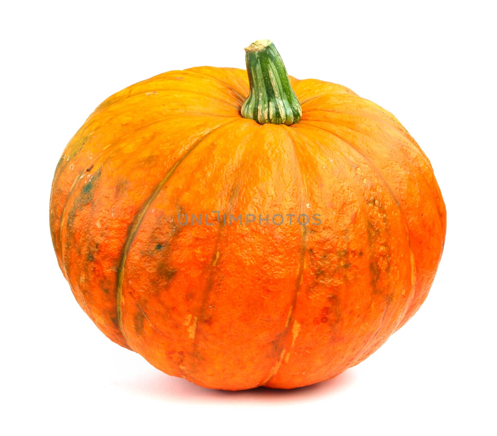 Fresh orange pumpkin islated on white background close-up