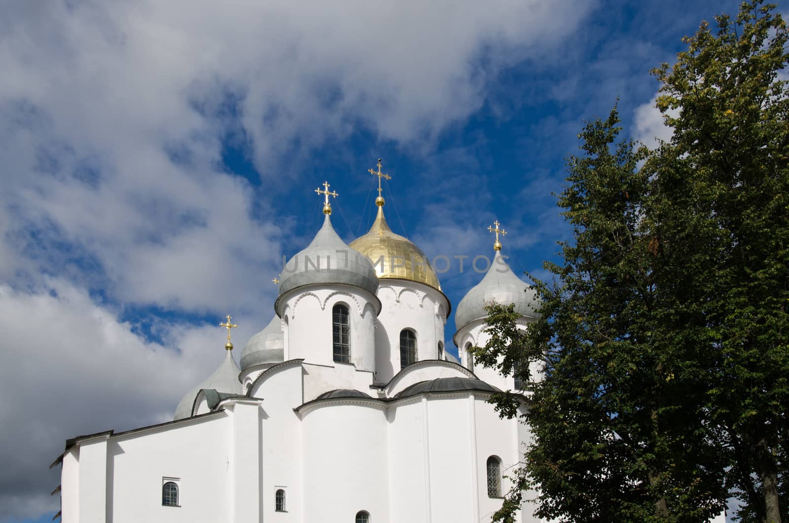 Onion Domes by smartin69