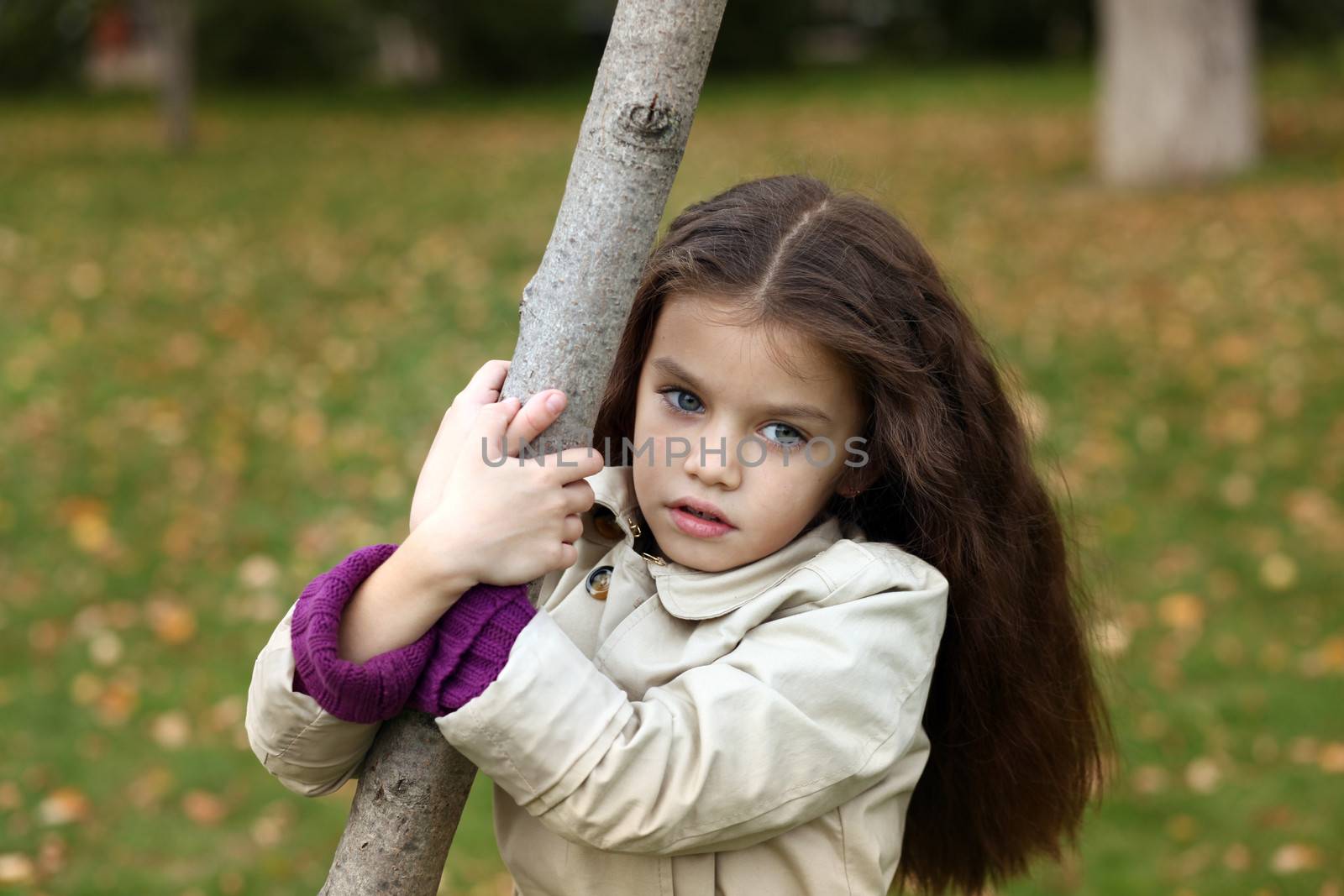 little girl in the autumn park