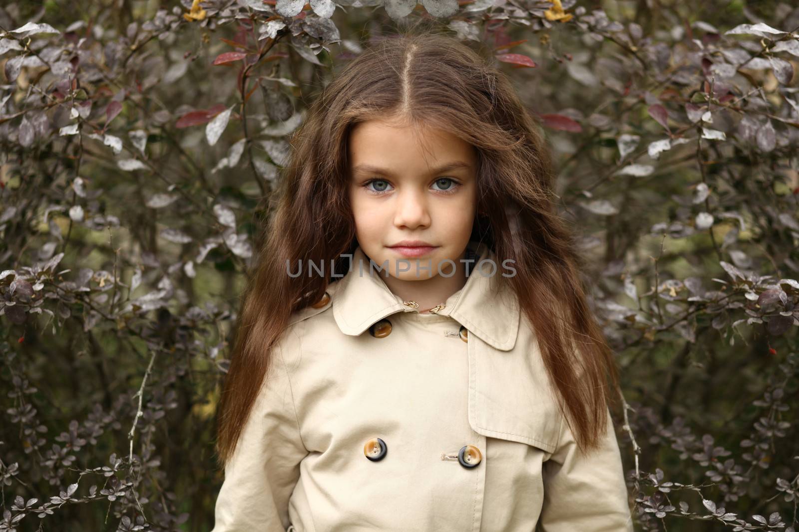 little girl in the autumn park by andersonrise