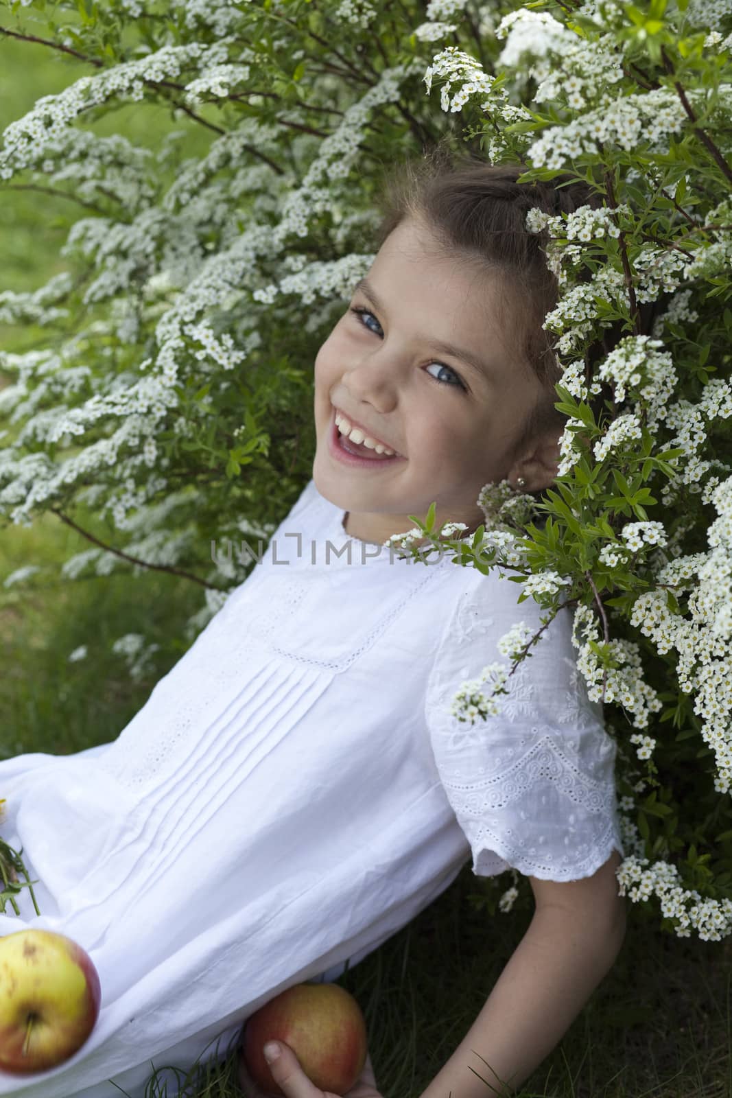 Portrait of beautiful little girl in spring blossom by andersonrise