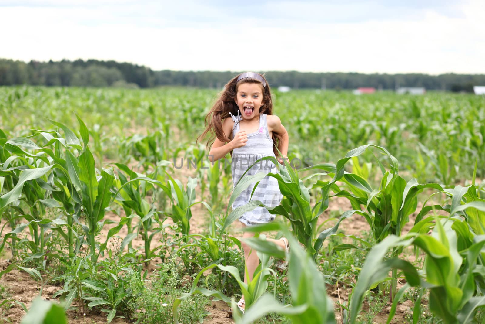 Joyful little girl running through the corn field by andersonrise