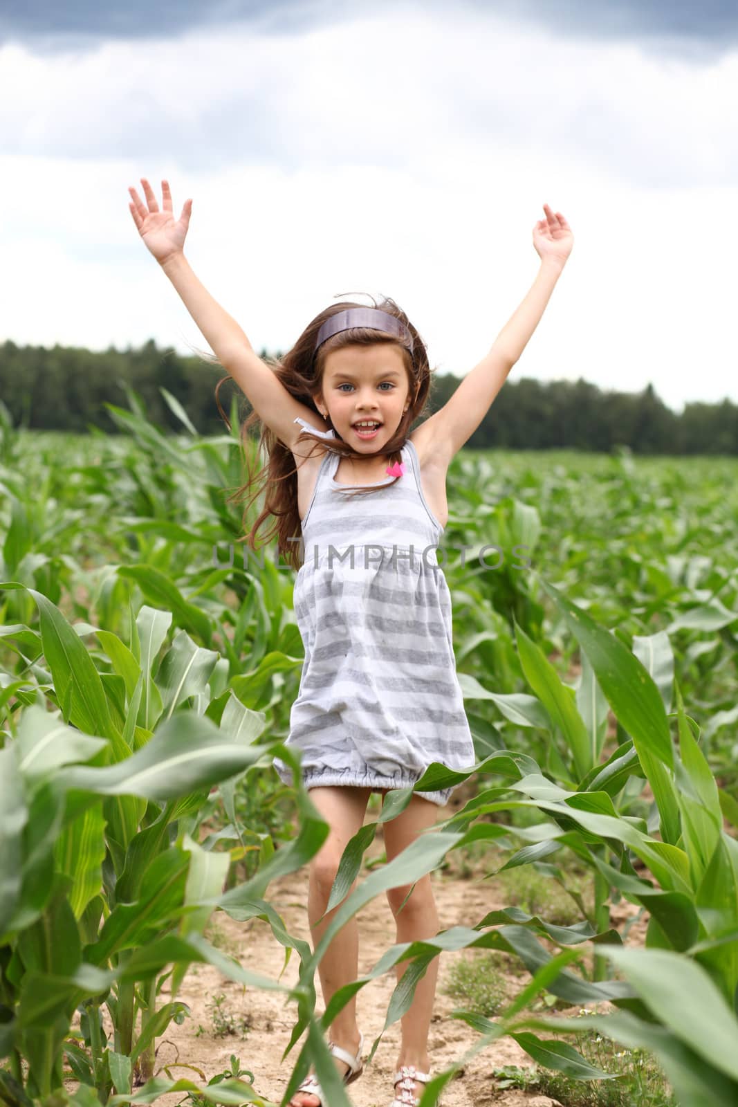 Joyful little girl running through the corn field by andersonrise