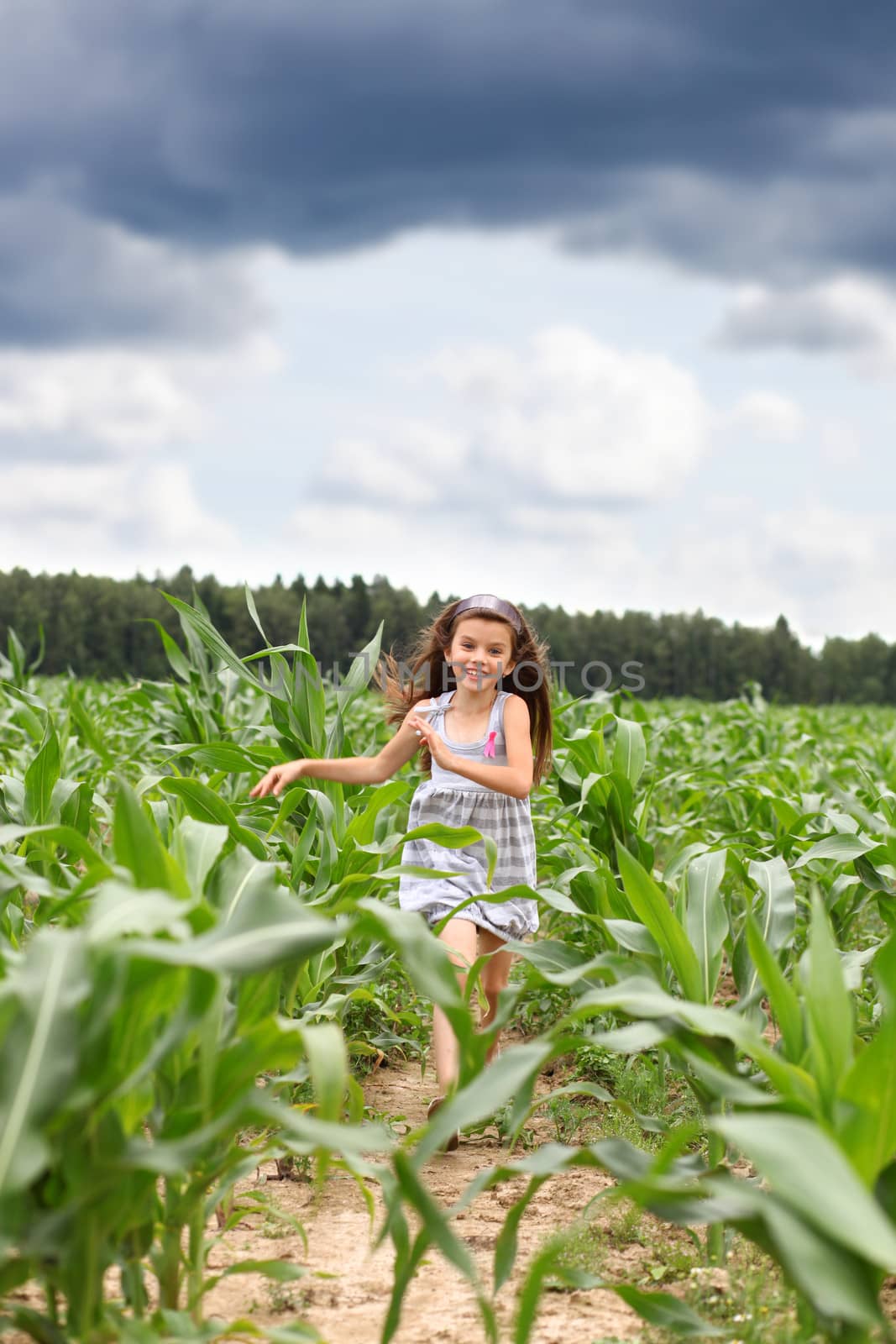 Joyful little girl running through the corn field