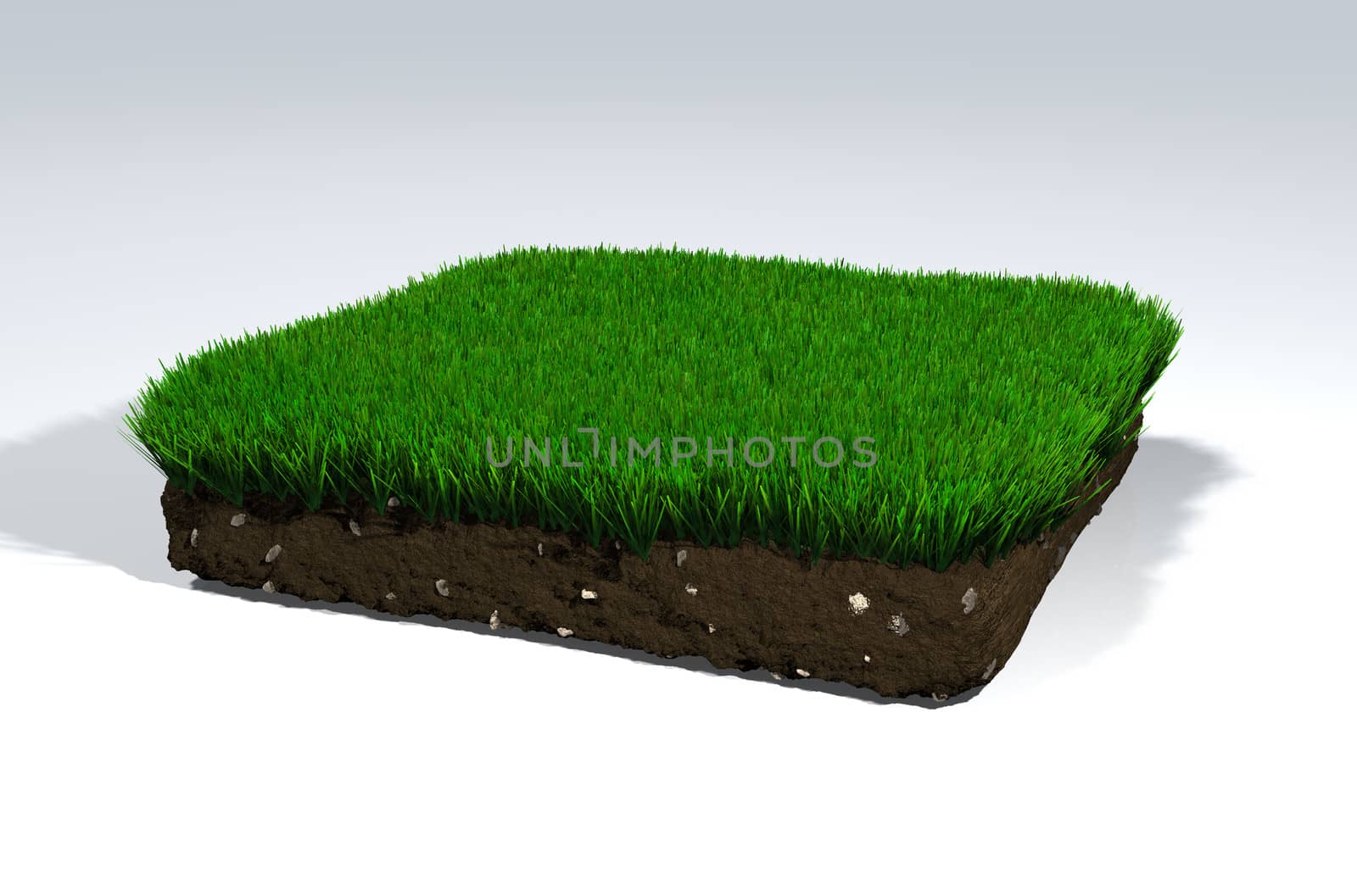 closeup of a squared clod of soil that has small rocks inside it and a green mowed lawn over it, on a white background