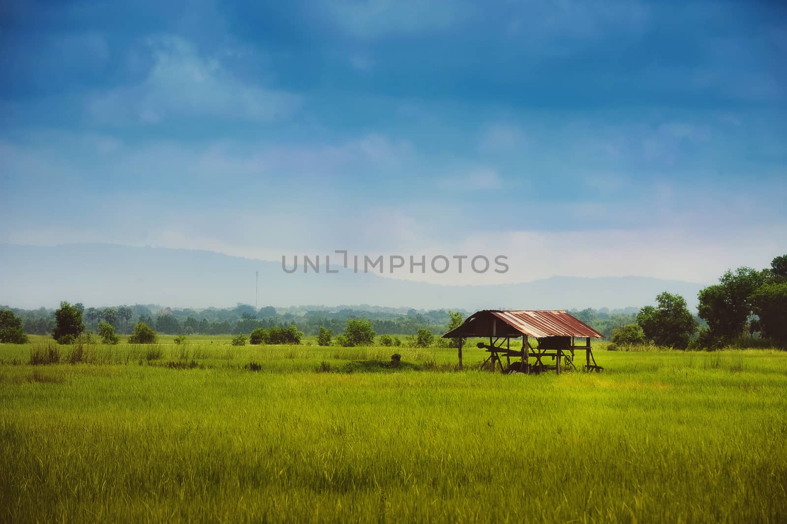 Farmer hut on green field by diixiib