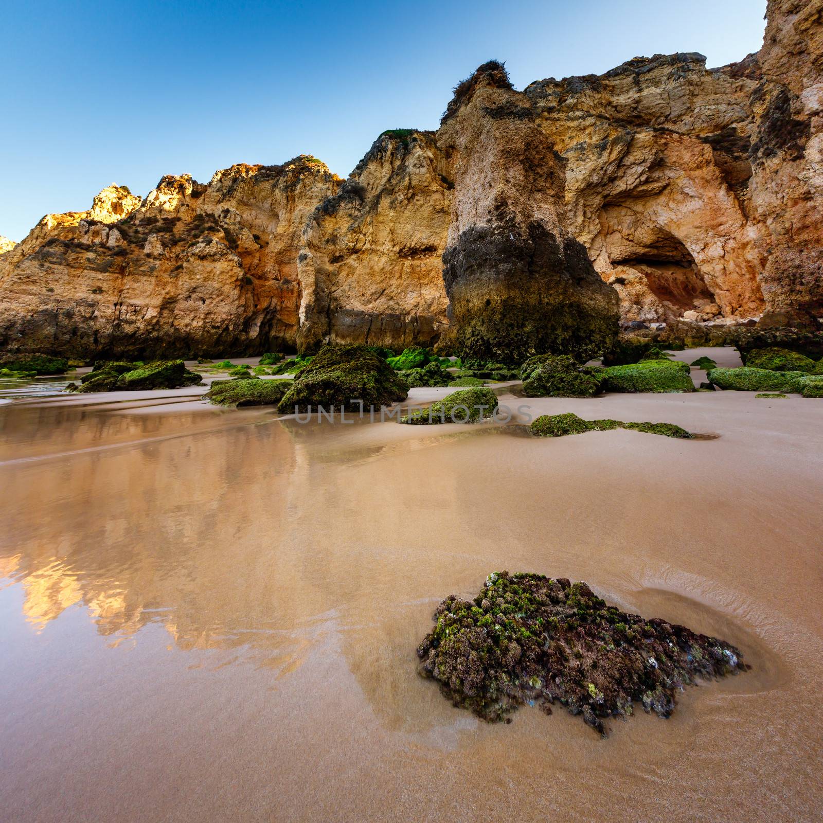 Green Stones at Porto de Mos Beach in Lagos, Algarve, Portugal by anshar