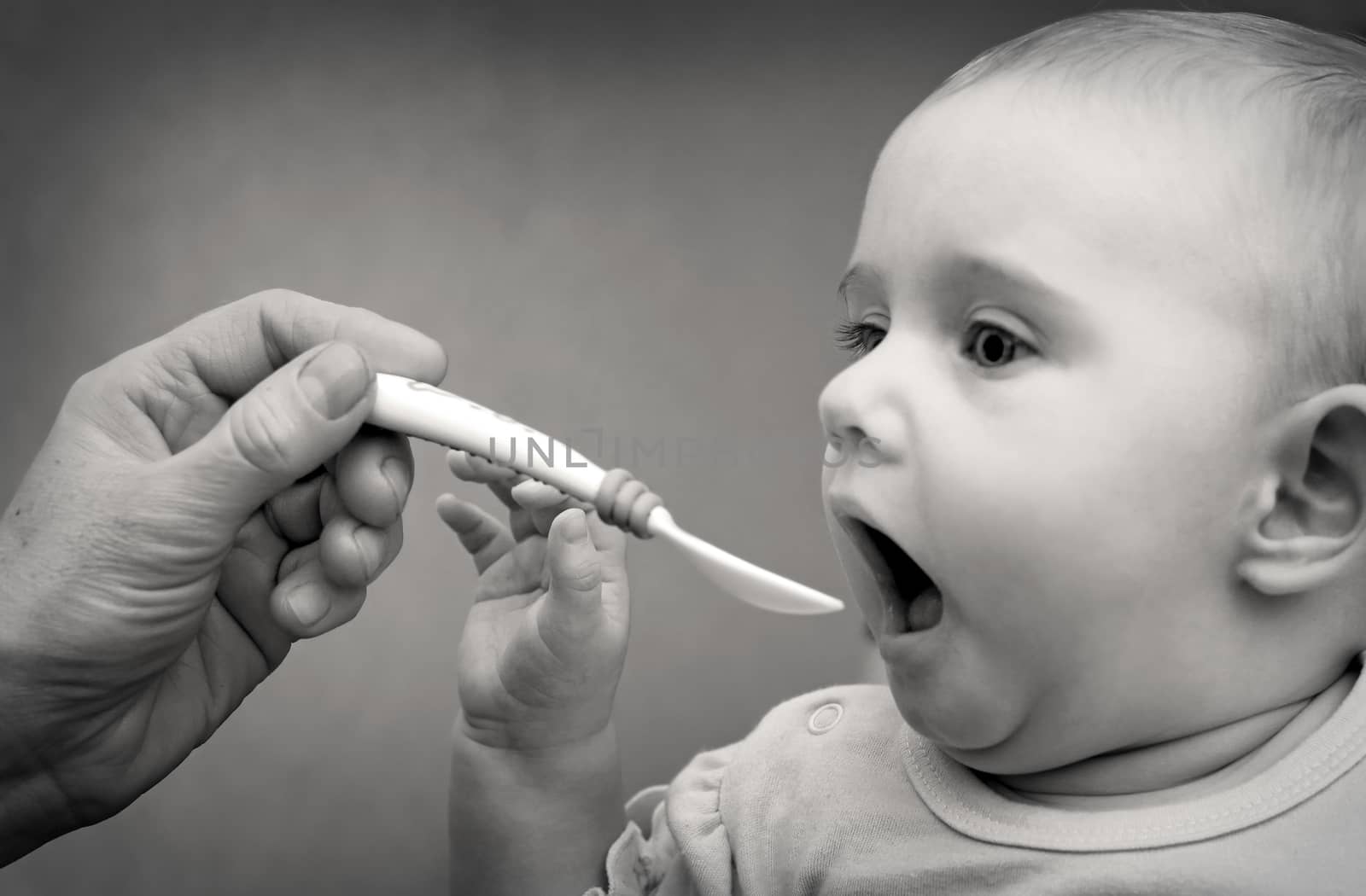 Parent feeding Hungry Baby. Black and White Photo