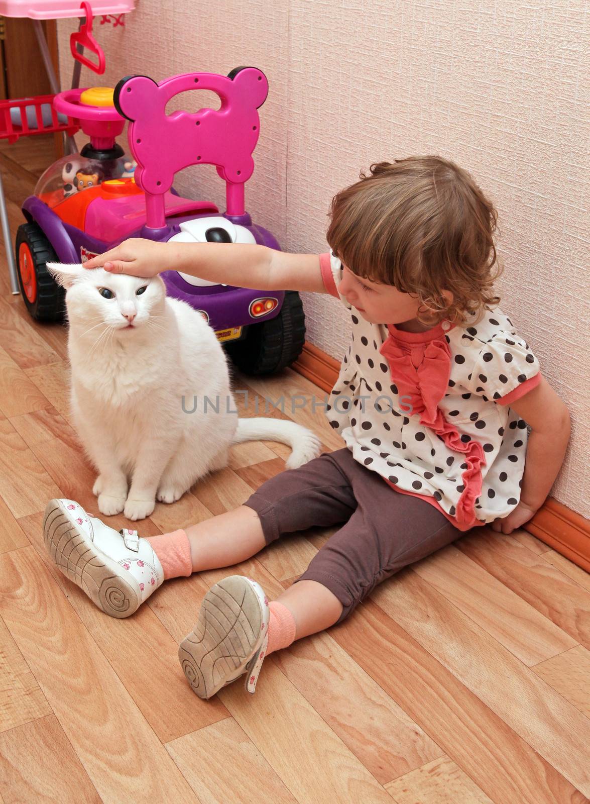 Little Girl with a Cat sitting on the Floor at the Home