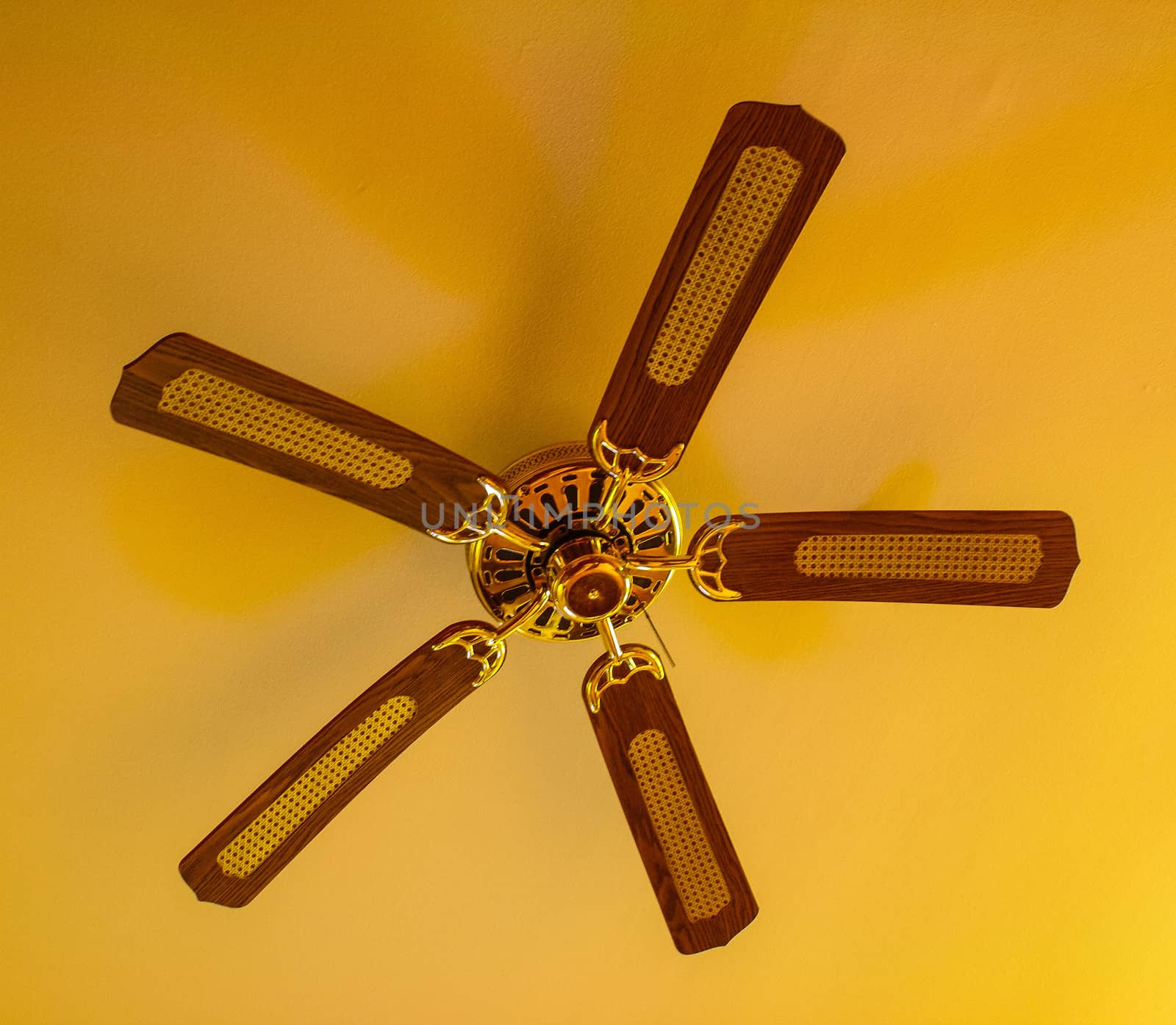 Ceiling fan hanging from a vaulted ceiling