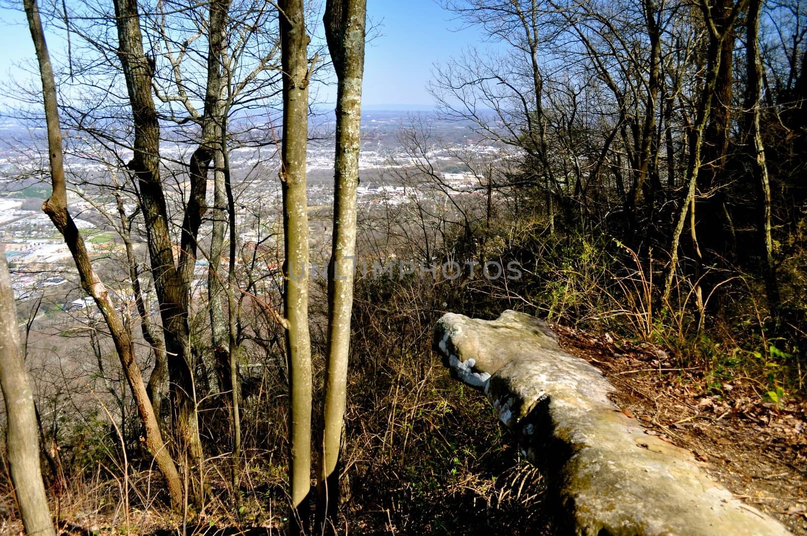 Overlooking Chattanooga at Point Park