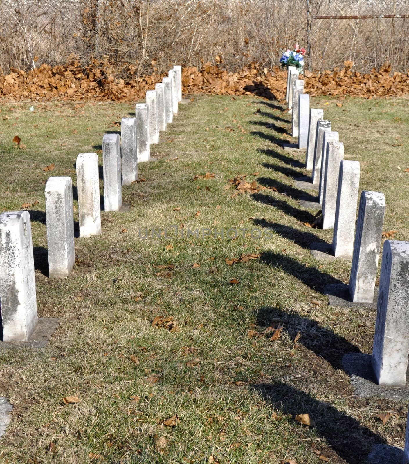 Two lines of cemetery headstones
