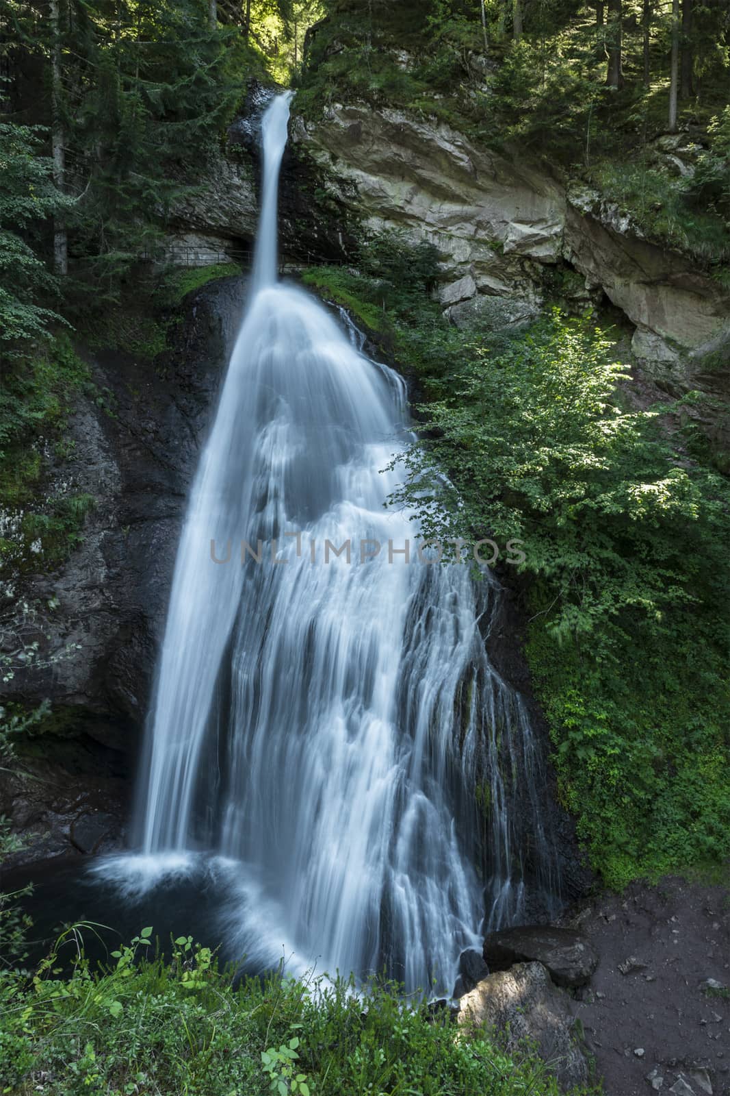 Waterfall in the forest near Cavalese, Trentino - Italy