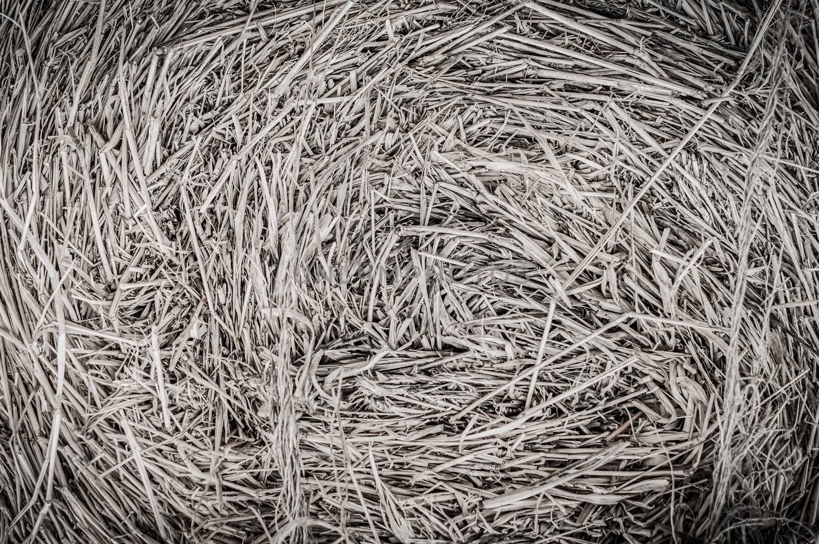Dry hay closeup image as natural background.Black and white.