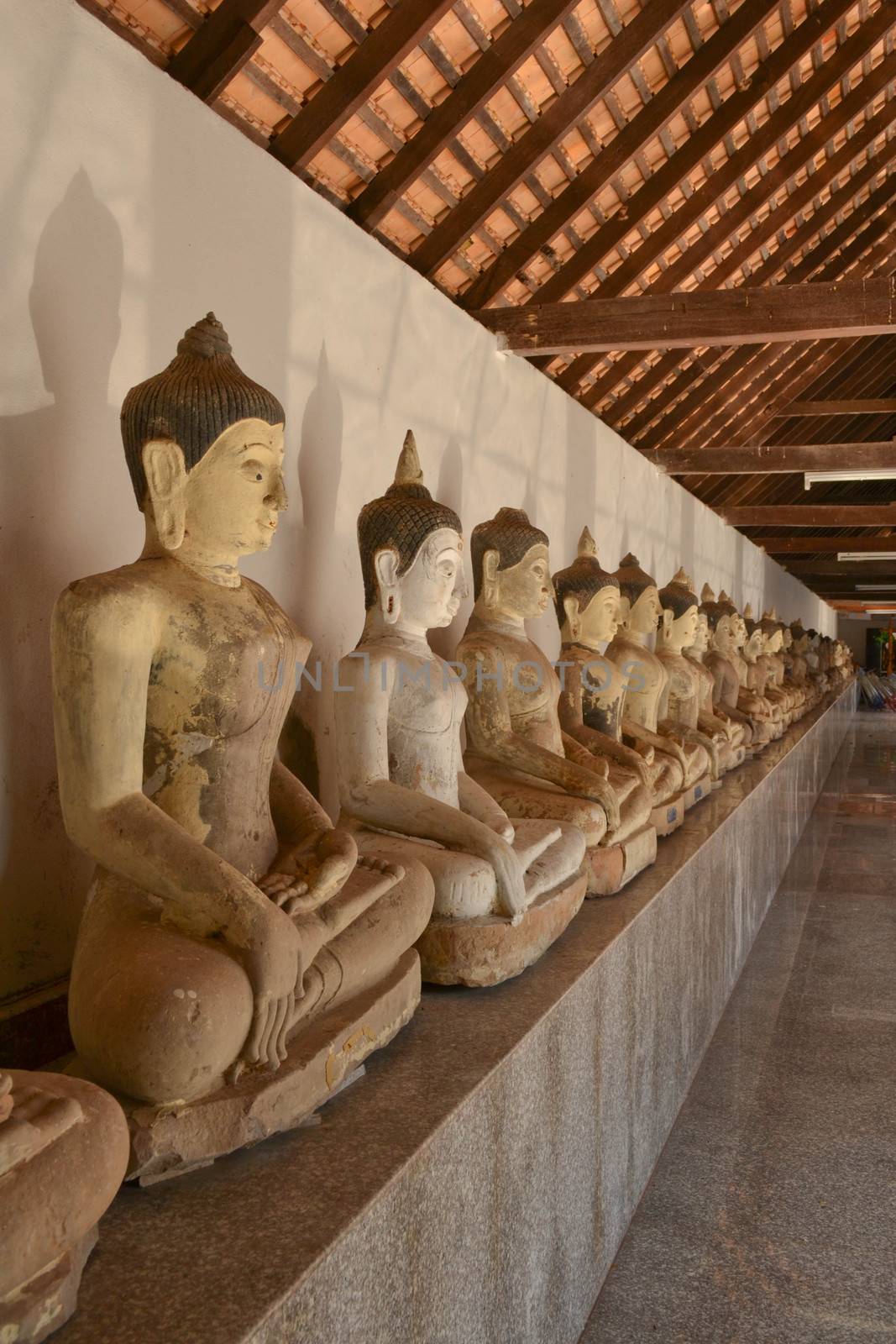 A row of seated Buddhas at the temple 
