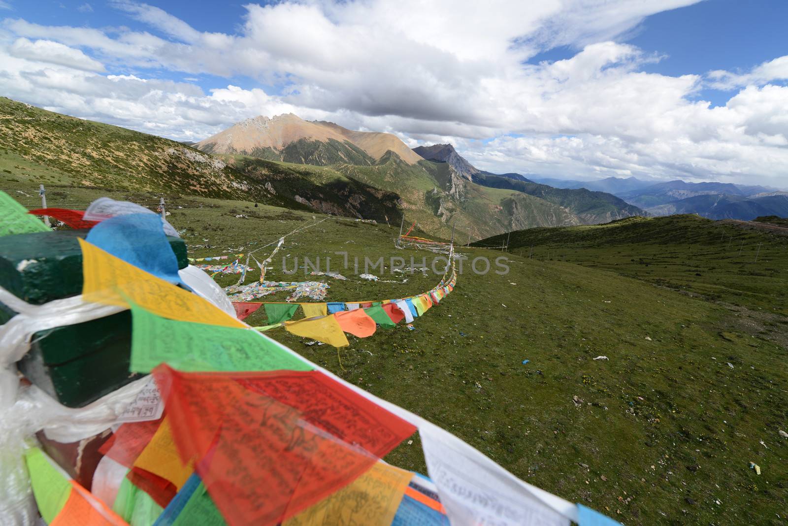 Colorful buddhist prayer flags on the grassland in Tibet