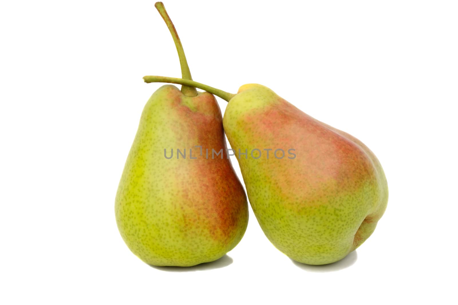 Two ripe large yellow pears. Presented on a white background.