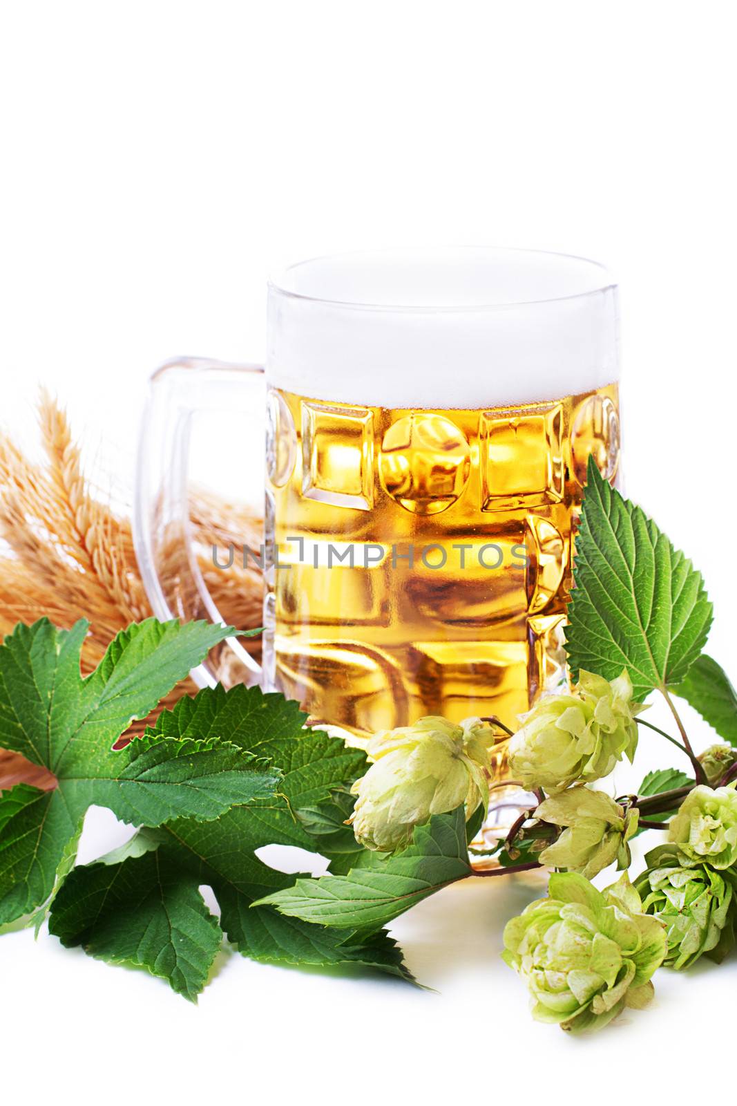 Mug of golden beer with hop leaves and wheat by Angel_a